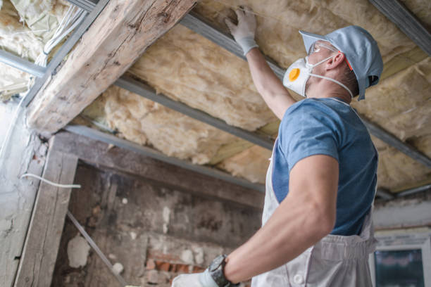 Professional Insulation Contractor in Lower Lake, CA